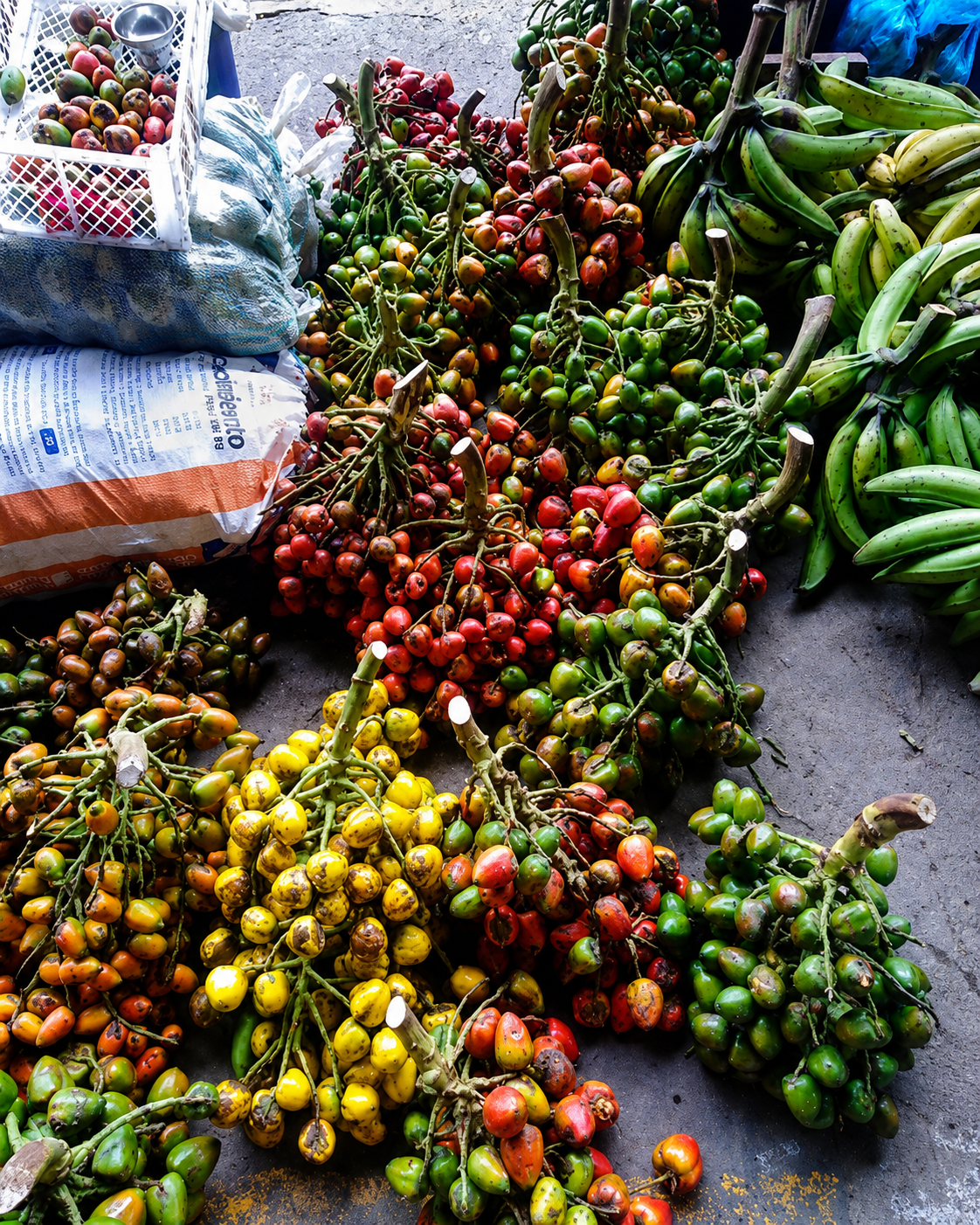 Frutas de la Amazonía